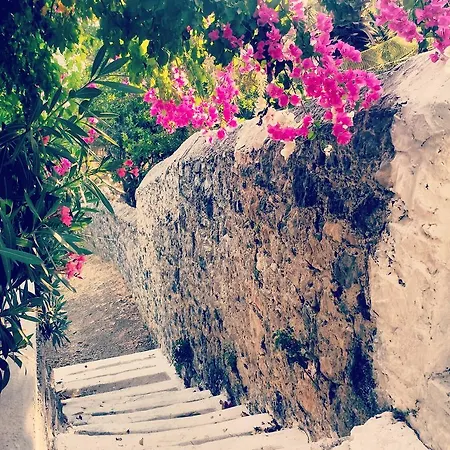 Kollias Apartmán Panormos (Kalymnos)
